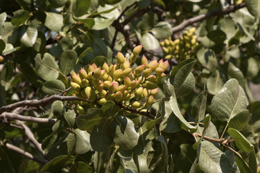 Similar image 6324491