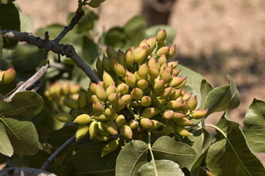 Similar image 6324492