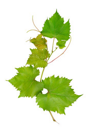 Similar image 6324621