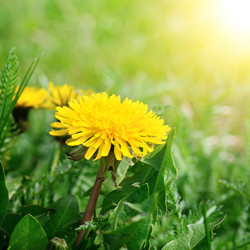 Similar image 6324623