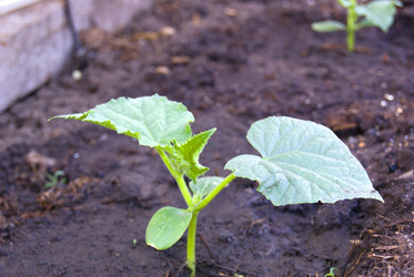 Similar image 6324624