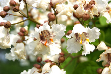 Similar image 6324626