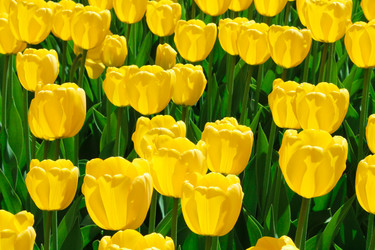 Similar image 6324632