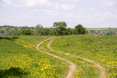 Similar image 6325058