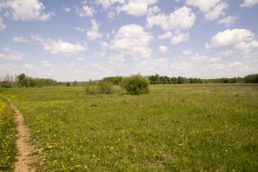 Similar image 6325061