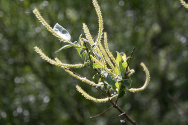 Similar image 6325070