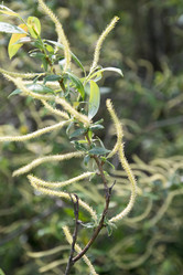 Similar image 6325072