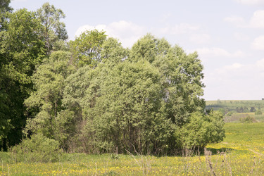 Similar image 6325087