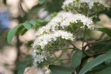 Similar image 6325092