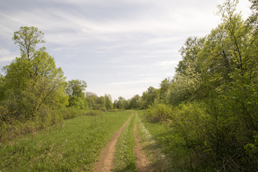 Similar image 6325095