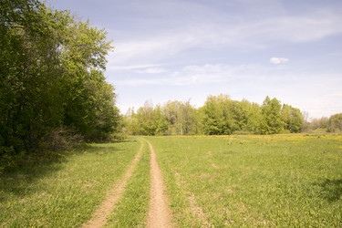 Similar image 6325099