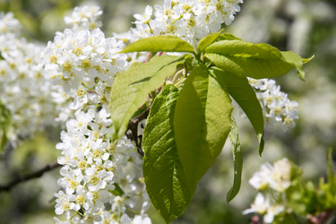 Similar image 6325100