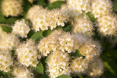 Similar image 6325104