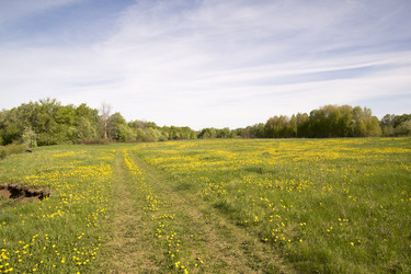 Similar image 6325105