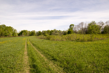 Similar image 6325107