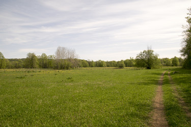 Similar image 6325113