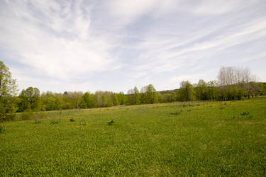 Similar image 6325115