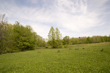 Similar image 6325117