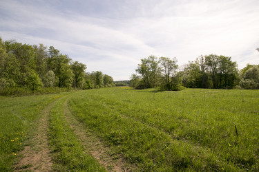 Similar image 6325120