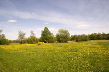 Similar image 6325124