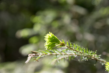 Similar image 6325125