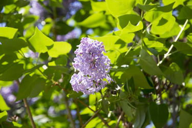 Similar image 6325128