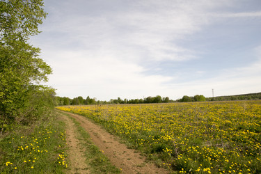 Similar image 6325131