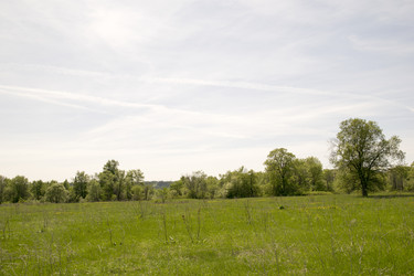 Similar image 6325136