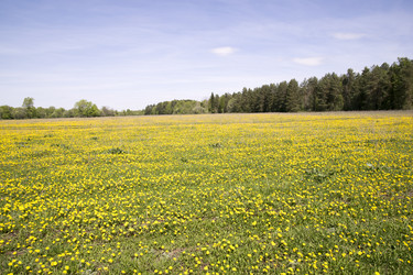 Similar image 6325138