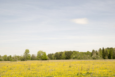 Similar image 6325139