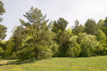 Similar image 6325141