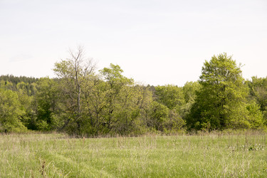 Similar image 6325143