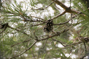 Similar image 6325146