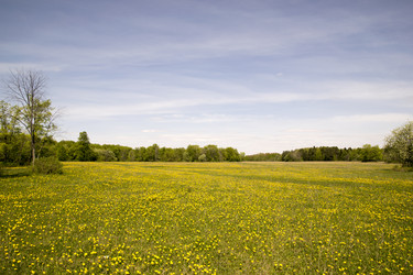 Similar image 6325148