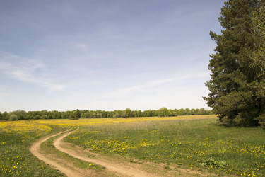 Similar image 6325150