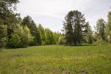 Similar image 6325155