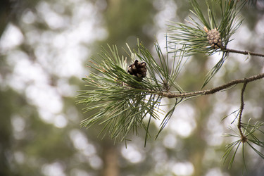 Similar image 6325156