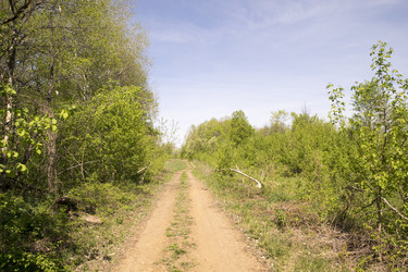 Similar image 6325160