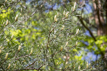 Similar image 6325166