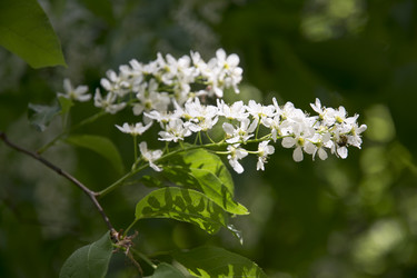 Similar image 6325167