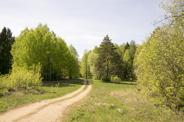 Similar image 6325169