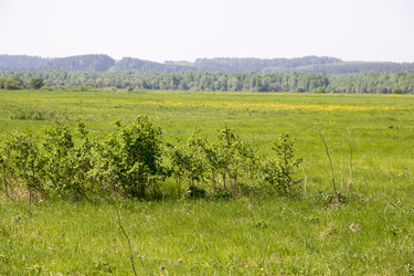 Similar image 6325173