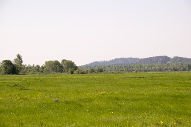 Similar image 6325177