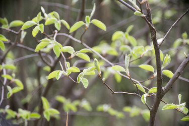 Similar image 6325200