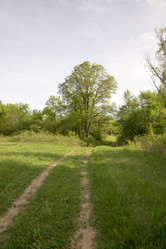 Similar image 6325213