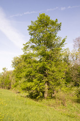 Similar image 6325218