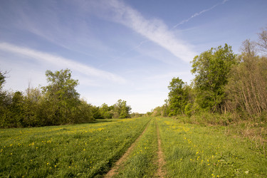 Similar image 6325219