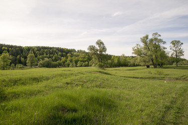 Similar image 6325228