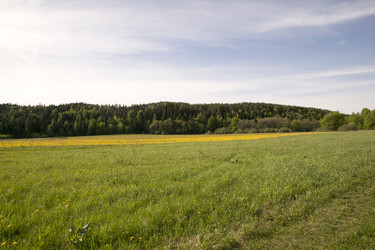 Similar image 6325241