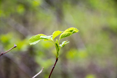 Similar image 6325243